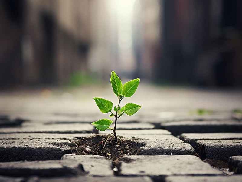 坚持的微信网名 - 坚持的微信网名大全