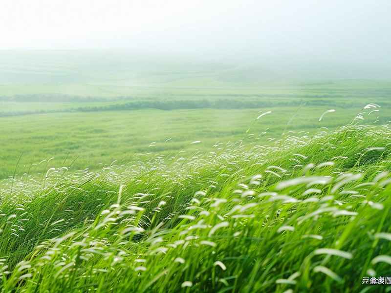 东的微信名字好听 - 东字微信名字好听 东的微信名字好听 - 东字微信名字好听