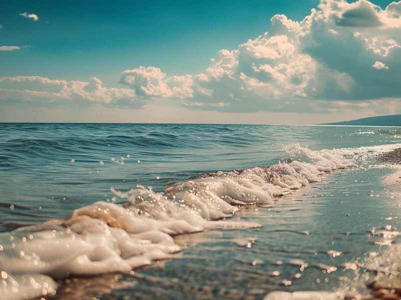 关于大海的微信网名（关于大海的微信网名大全）