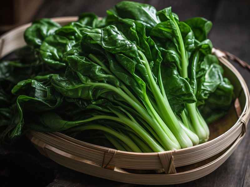 给菠菜起个菜名 给菠菜起个菜名大全