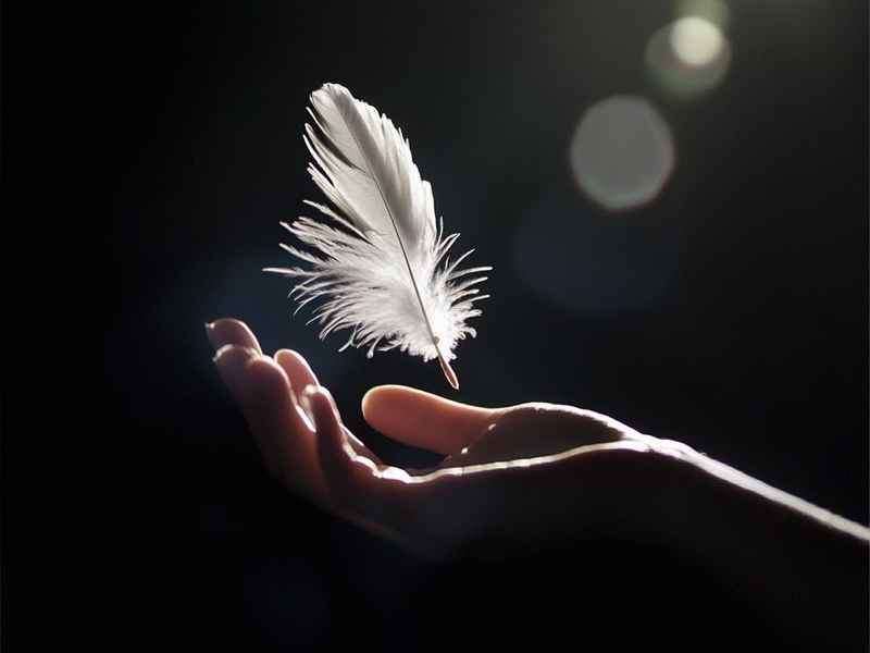 关于志的微信网名、有志气的微信网名