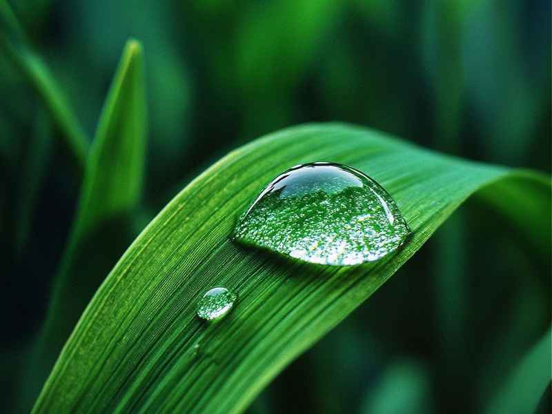 关于永的微信网名（永字最好听的微信网名）