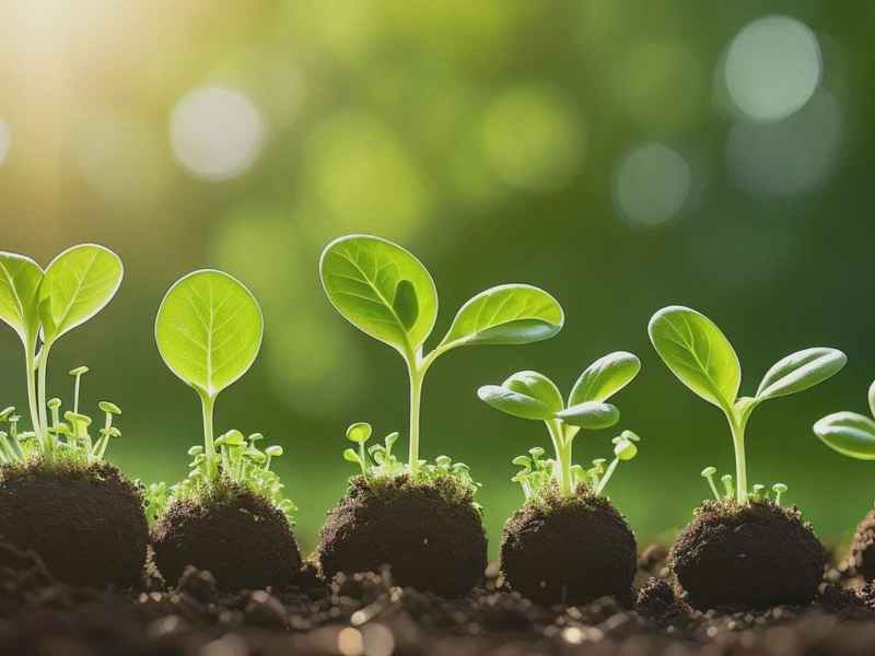 男微信网名成熟稳重 - 男微信网名成熟稳重霸气 男微信网名成熟稳重 - 男微信网名成熟稳重霸气