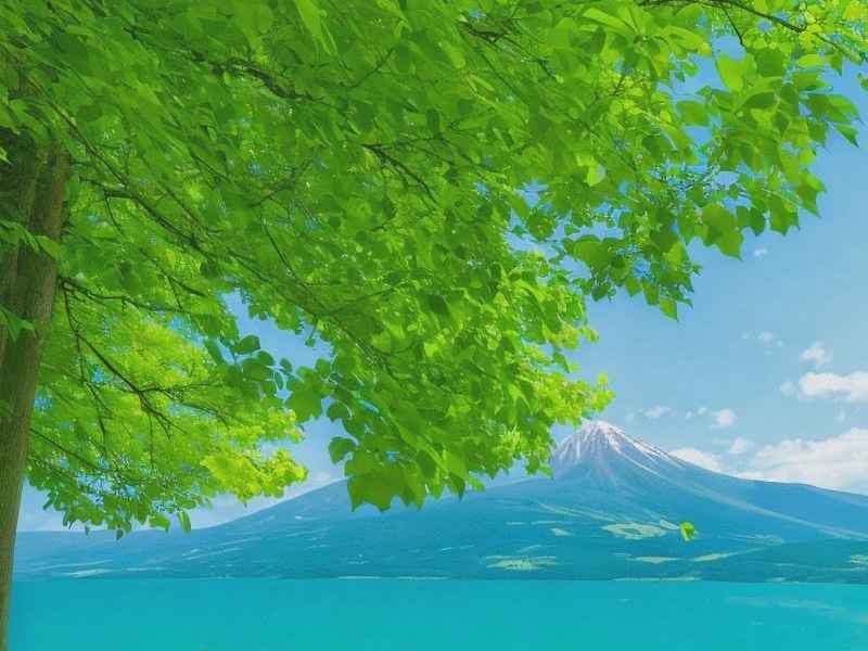 风景微信网名大全（风景微信网名大全霸气）