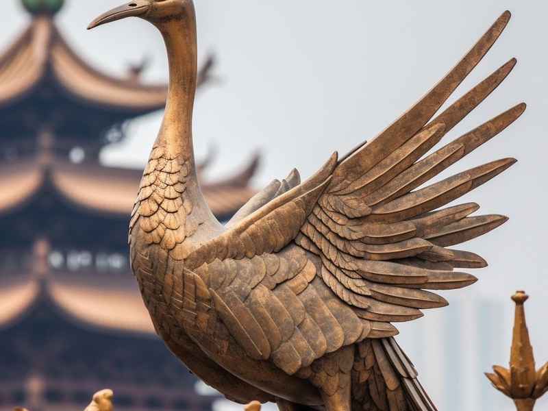 华鹤这个名字怎么样 - 华鹤这个名字怎么样好听吗