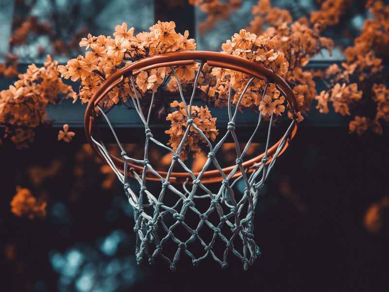 好听的篮球微信网名、好听的篮球微信网名大全