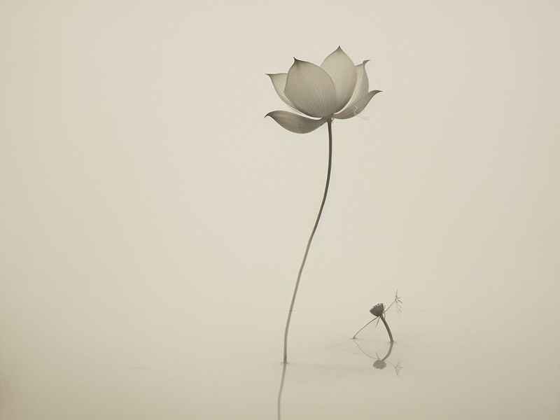 放下看淡一切微信网名、放下看淡一切微信网名大全 放下看淡一切微信网名、放下看淡一切微信网名大全