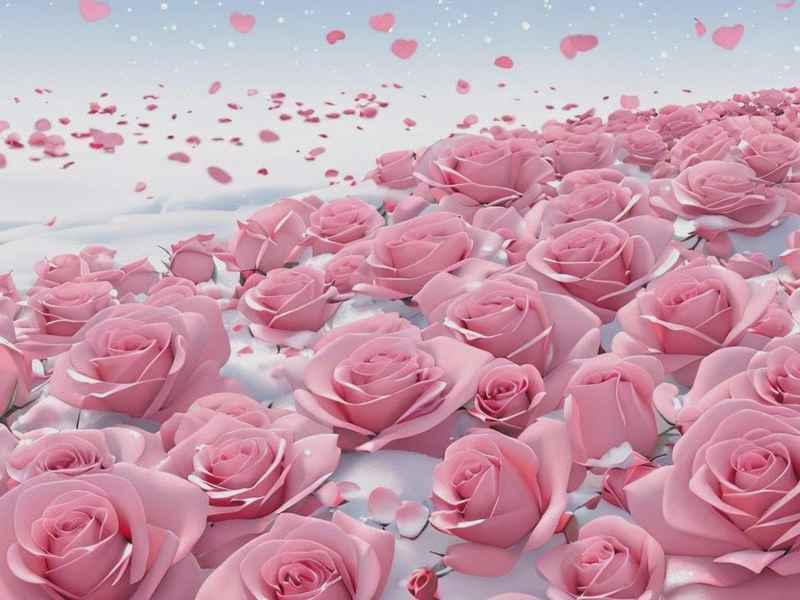 关于花朵网名女生浪漫，关于花朵网名女生浪漫两个字