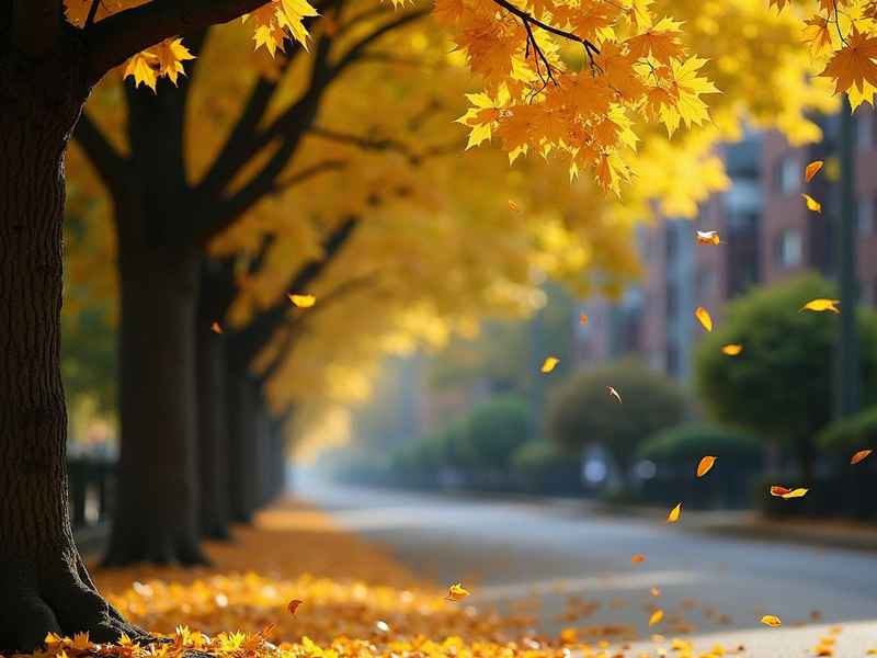 关于梧桐的网名二字，关于梧桐的网名二字女生