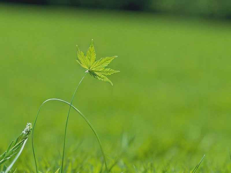 关于志的微信网名、有志气的微信网名