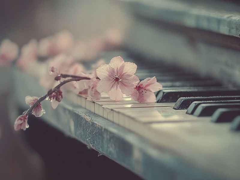 关于永的微信网名（永字最好听的微信网名）