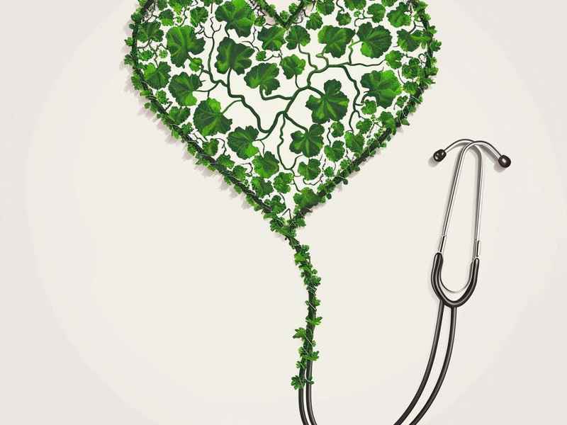 健康网名带来好运气 - 健康网名带来好运气的名字