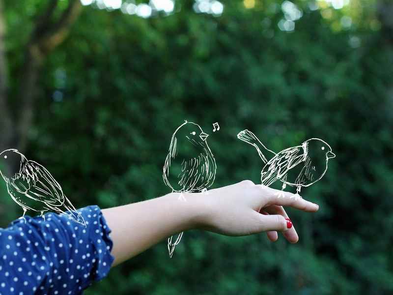 会懂得微信网名、会懂得微信网名的人