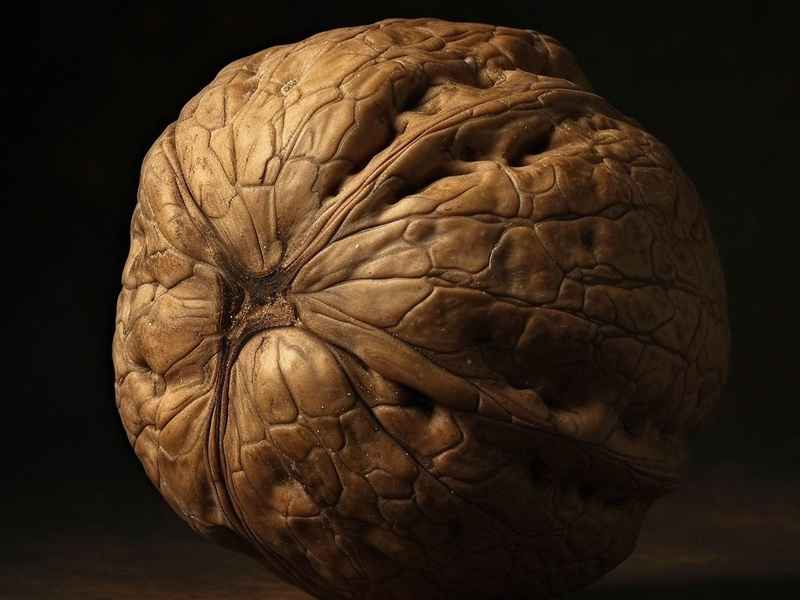 关于文玩核桃的微信昵称 关于文玩核桃的微信昵称大全