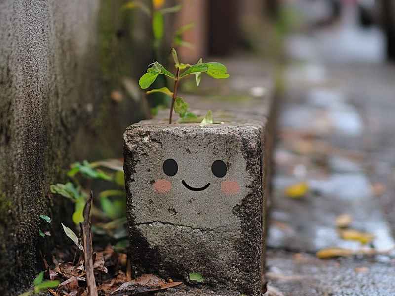 个性励志微信网名 励志个性一点的网微信网名 个性励志微信网名 励志个性一点的网微信网名