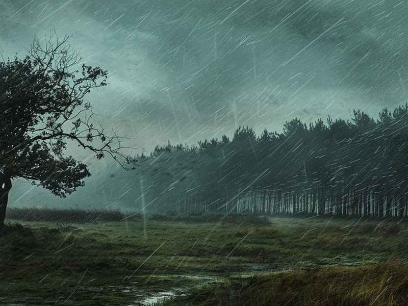 带有风雨字的诗句 带有风雨字的诗句大全