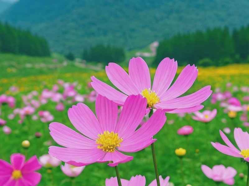 励志微信网名走天涯,2020励志微信网名 励志微信网名走天涯,2020励志微信网名