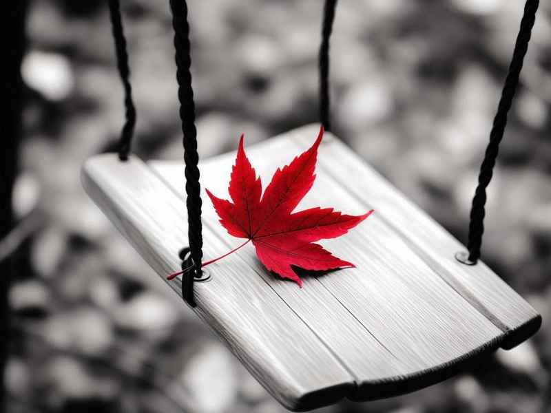 微信网名带红雨的名字（微信网名带红雨的名字女生）