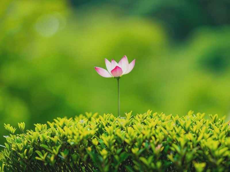 平心静气的网名微信名，平心静气的网名微信名怎么取