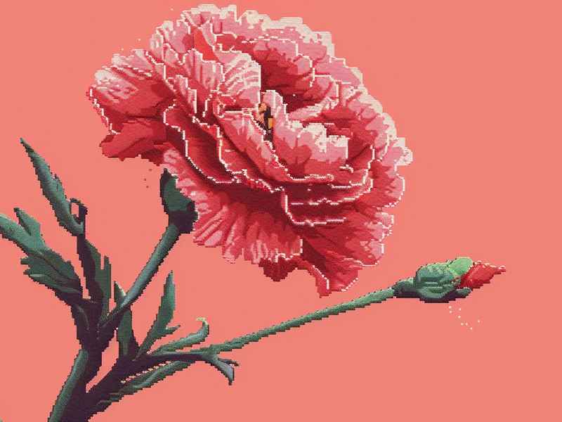 微信带花的网名、微信网名带花的名字