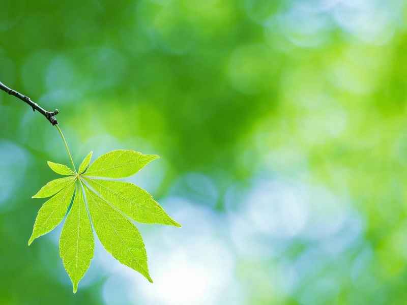 顺其自然微信网名设计 - 顺其自然个性网名设计