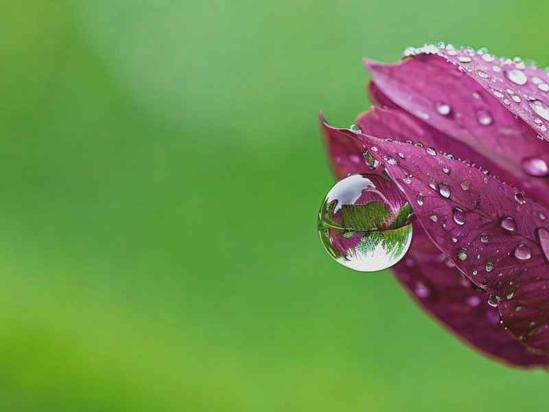 微信网名带红雨什么意思，微信网名带红雨什么意思啊