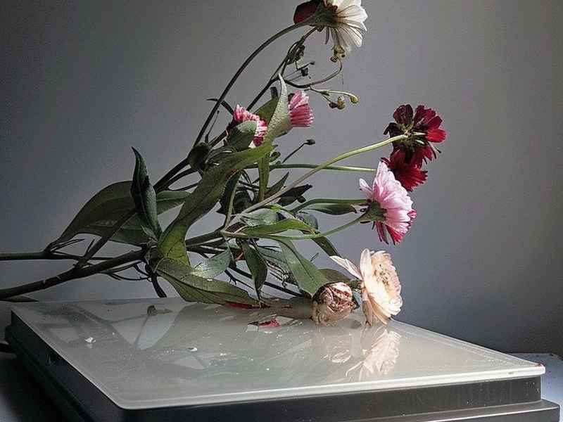 微信带花昵称；微信带花的昵称