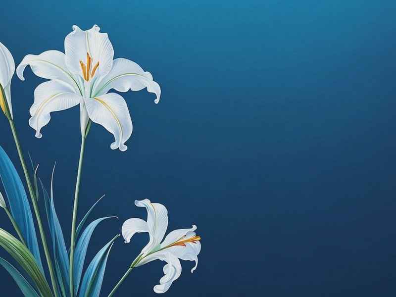 幽兰微信名 幽兰的微信网名 幽兰微信名 幽兰的微信网名