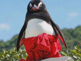 搞怪qq网名、搞怪qq网名女生