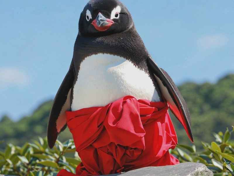 搞怪qq网名、搞怪qq网名女生