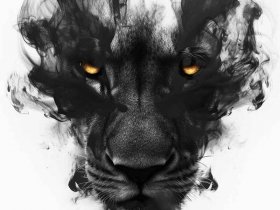 高冷霸气图片、高冷霸气图片女