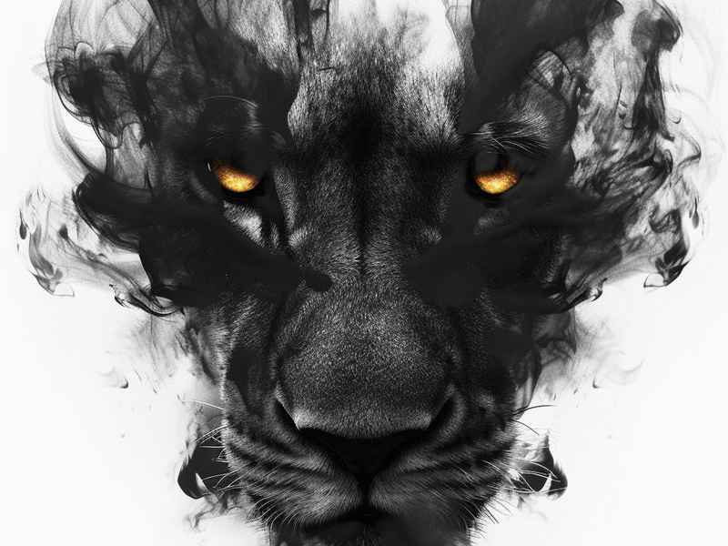 高冷霸气图片、高冷霸气图片女