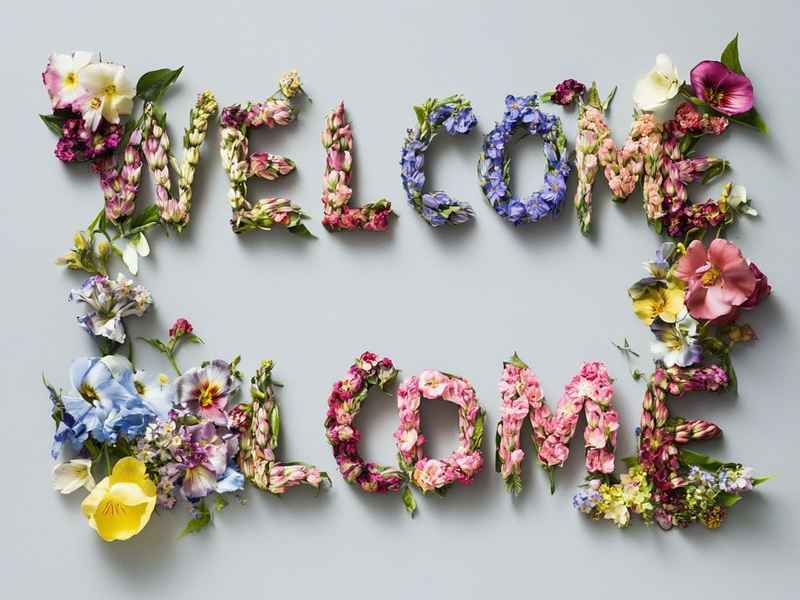 高贵的英文网名带符号，高贵的英文网名带符号女生