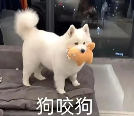 非主流-中二少年最爱的非主流网名 有趣又好听的非主流网名